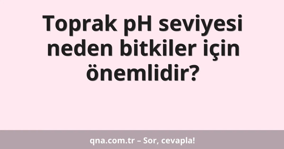 Toprak pH seviyesi neden bitkiler için önemlidir?