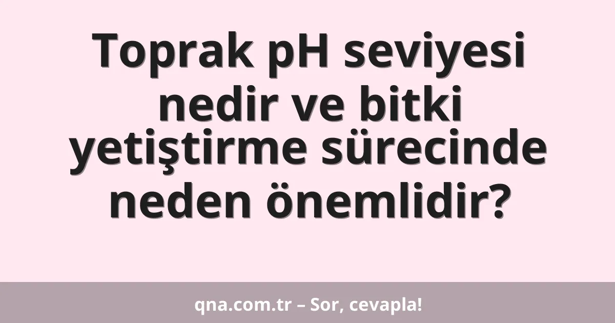 Toprak pH seviyesi nedir ve bitki yetiştirme sürecinde neden önemlidir?