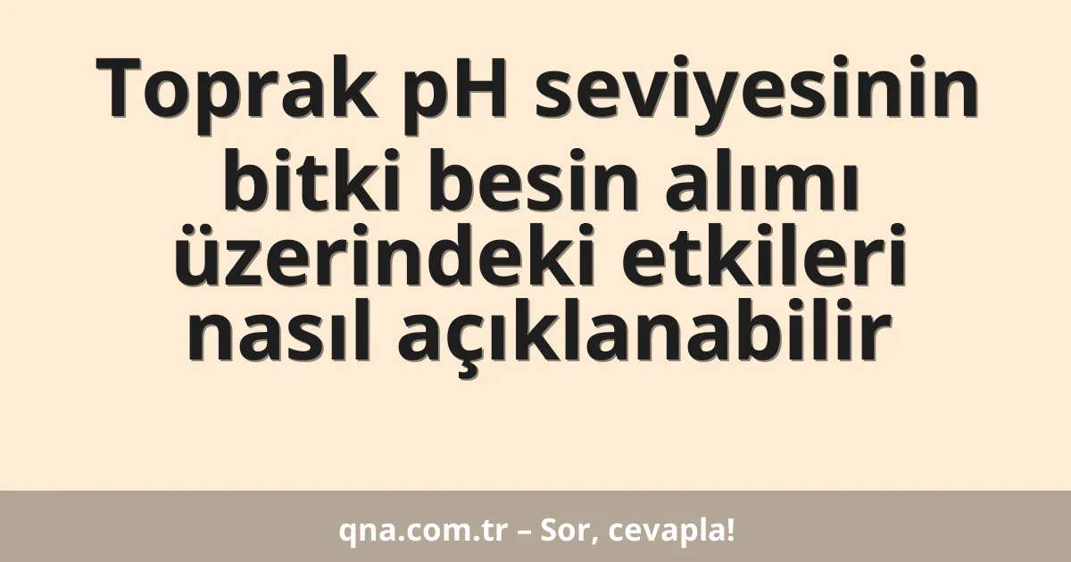 Toprak pH seviyesinin bitki besin alımı üzerindeki etkileri nasıl açıklanabilir
