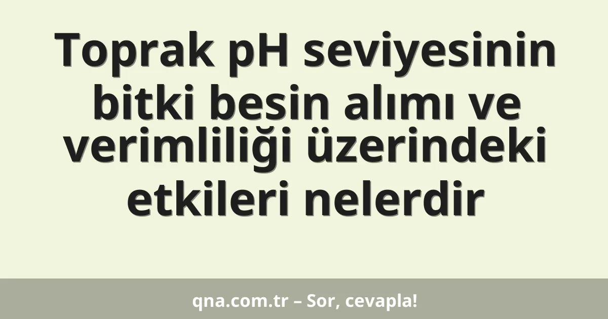 Toprak pH seviyesinin bitki besin alımı ve verimliliği üzerindeki etkileri nelerdir