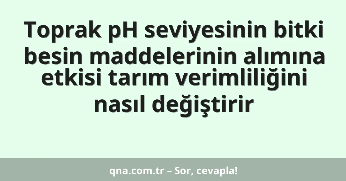 Toprak pH seviyesinin bitki besin maddelerinin alımına etkisi tarım verimliliğini nasıl değiştirir