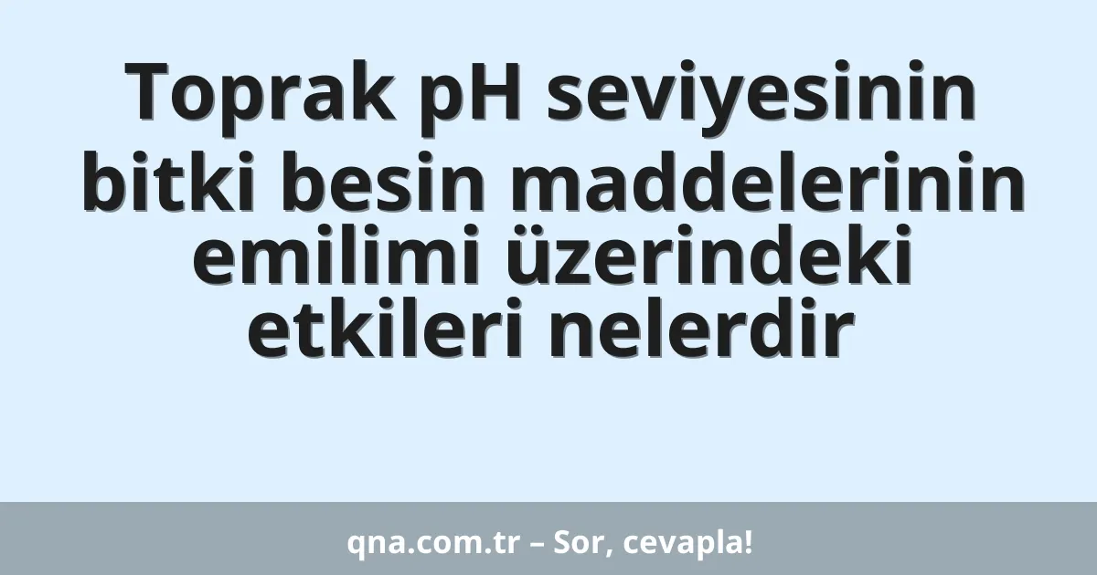 Toprak pH seviyesinin bitki besin maddelerinin emilimi üzerindeki etkileri nelerdir