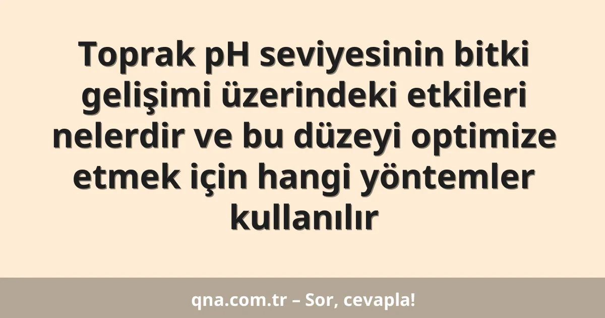 Toprak pH seviyesinin bitki gelişimi üzerindeki etkileri nelerdir ve bu düzeyi optimize etmek için hangi yöntemler kullanılır