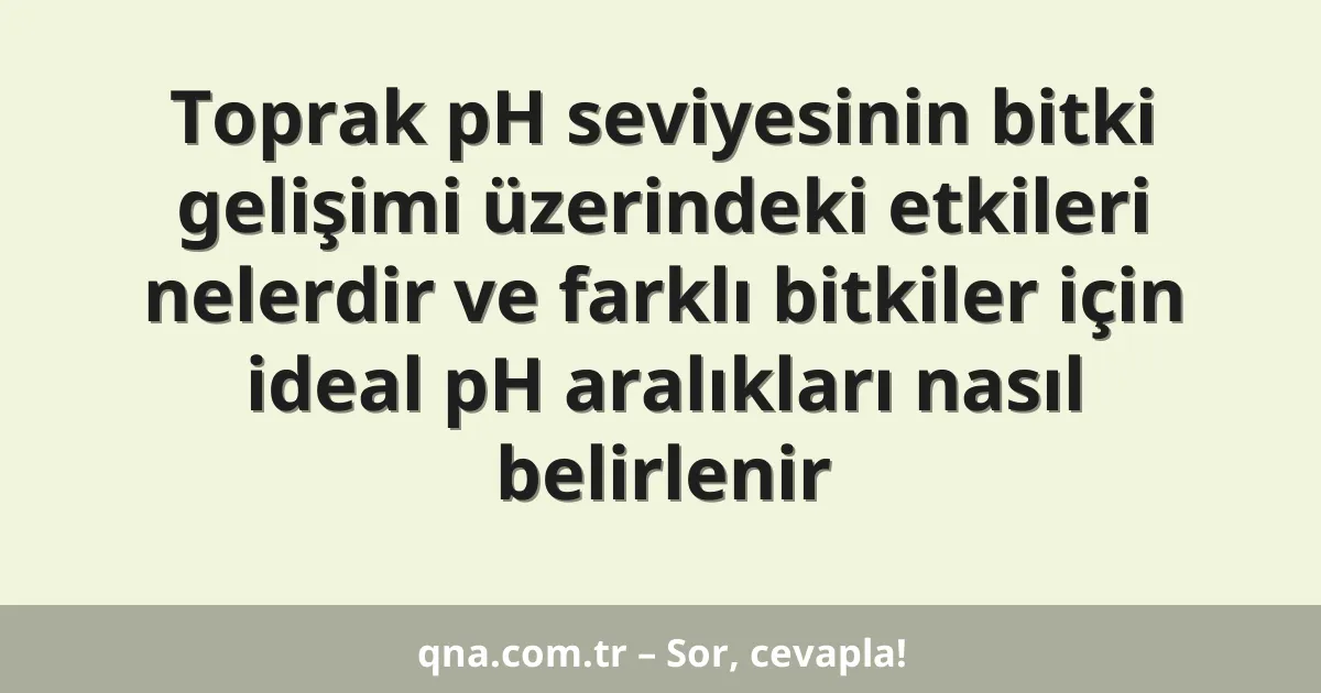Toprak pH seviyesinin bitki gelişimi üzerindeki etkileri nelerdir ve farklı bitkiler için ideal pH aralıkları nasıl belirlenir