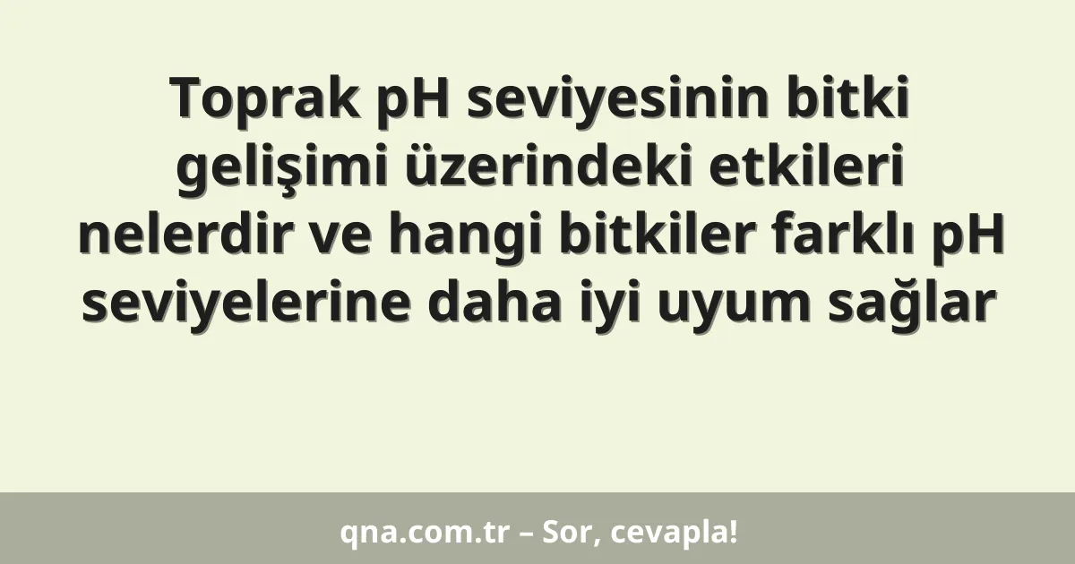 Toprak pH seviyesinin bitki gelişimi üzerindeki etkileri nelerdir ve hangi bitkiler farklı pH seviyelerine daha iyi uyum sağlar
