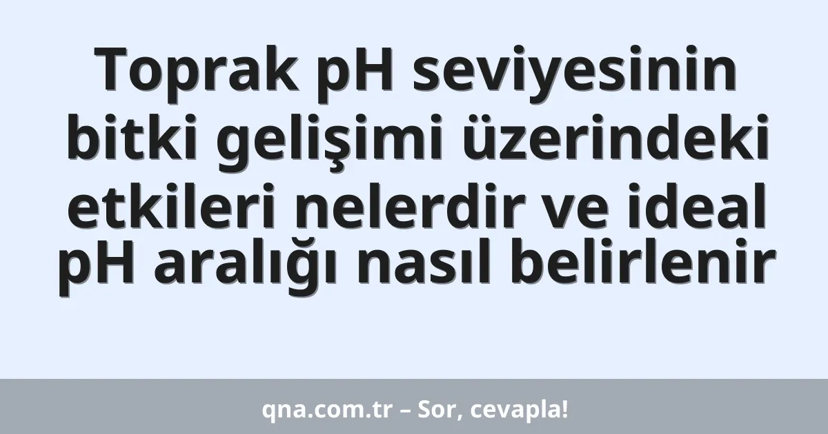 Toprak pH seviyesinin bitki gelişimi üzerindeki etkileri nelerdir ve ideal pH aralığı nasıl belirlenir