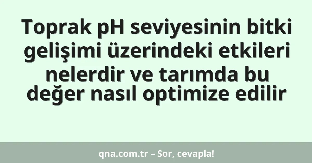 Toprak pH seviyesinin bitki gelişimi üzerindeki etkileri nelerdir ve tarımda bu değer nasıl optimize edilir