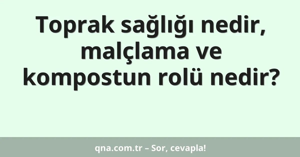 Toprak sağlığı nedir, malçlama ve kompostun rolü nedir?