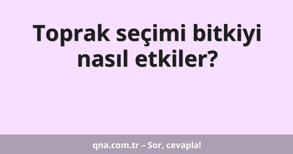 Toprak seçimi bitkiyi nasıl etkiler?