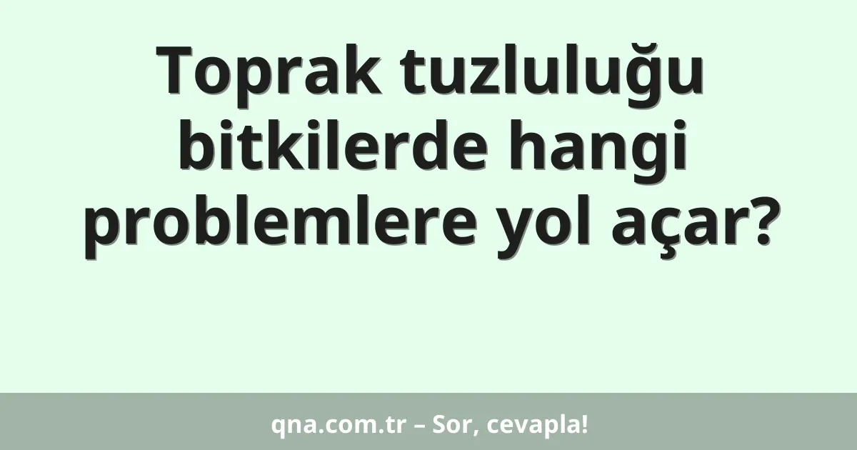 Toprak tuzluluğu bitkilerde hangi problemlere yol açar?
