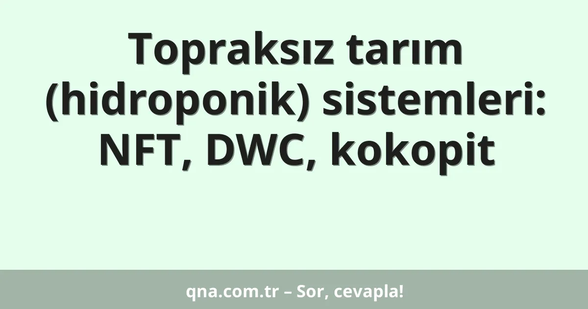 Topraksız tarım (hidroponik) sistemleri: NFT, DWC, kokopit