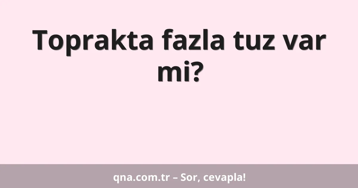 Toprakta fazla tuz var mi?