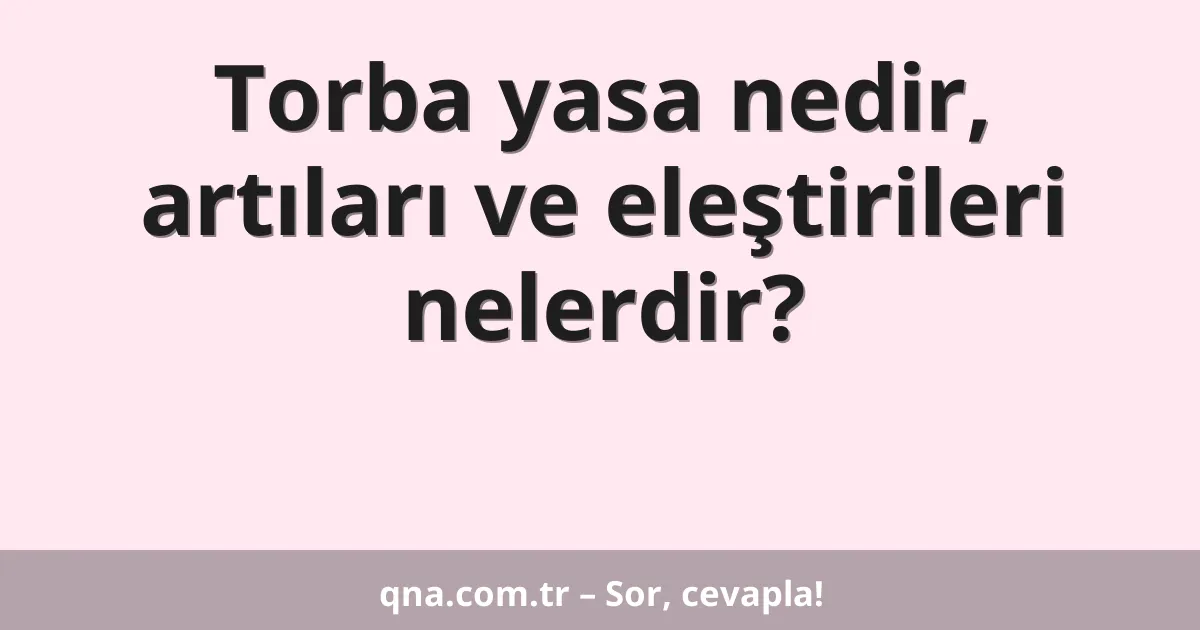 Torba yasa nedir, artıları ve eleştirileri nelerdir?