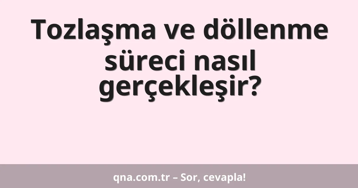 Tozlaşma ve döllenme süreci nasıl gerçekleşir?