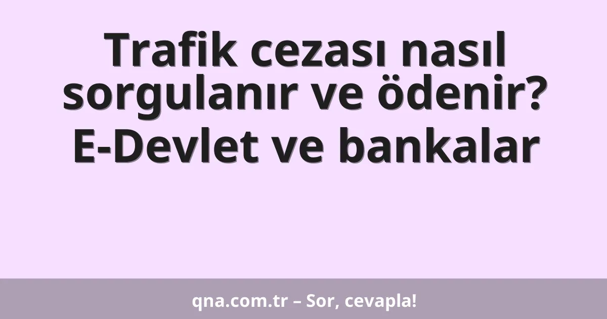 Trafik cezası nasıl sorgulanır ve ödenir? E-Devlet ve bankalar