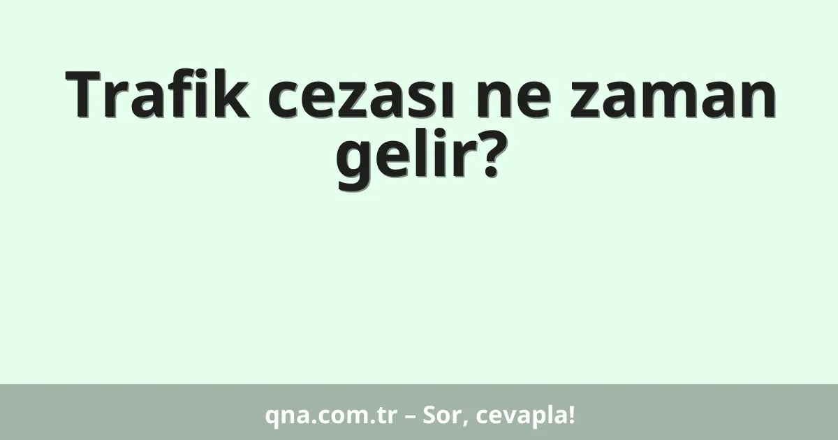 Trafik cezası ne zaman gelir?