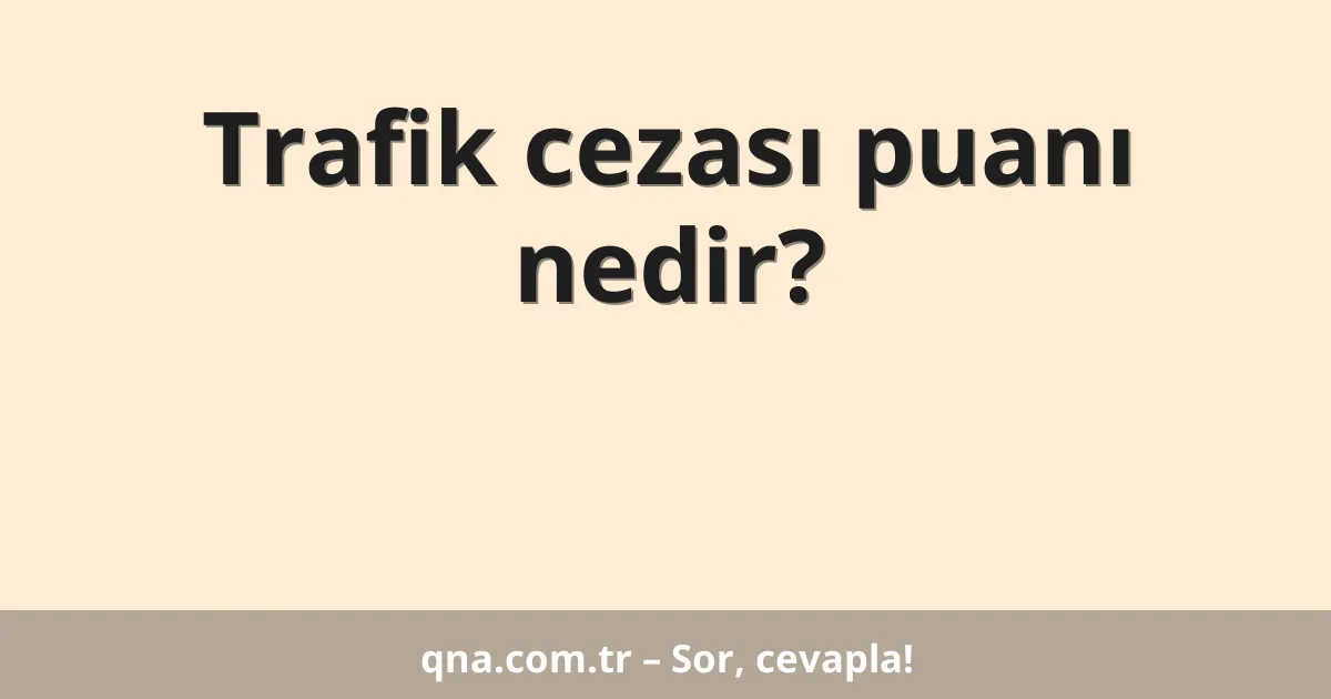 Trafik cezası puanı nedir?