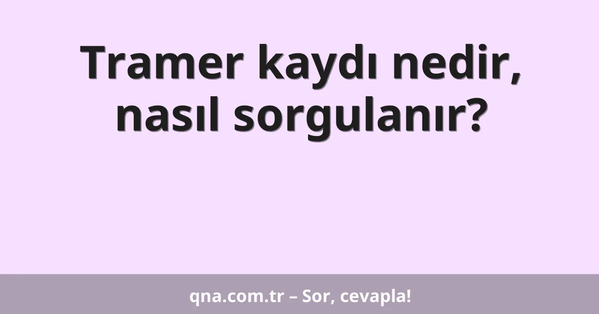 Tramer kaydı nedir, nasıl sorgulanır?