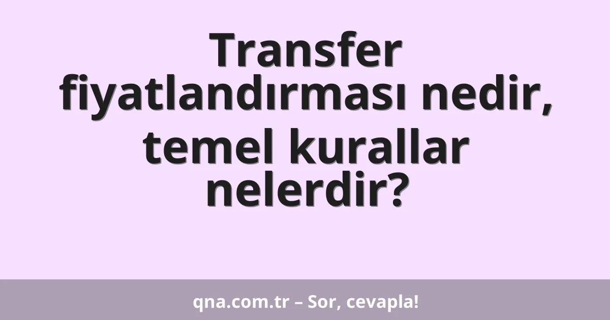 Transfer fiyatlandırması nedir, temel kurallar nelerdir?