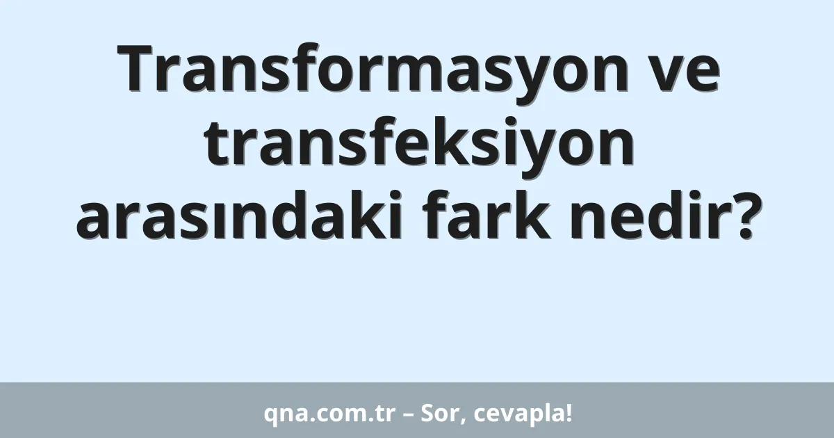 Transformasyon ve transfeksiyon arasındaki fark nedir?