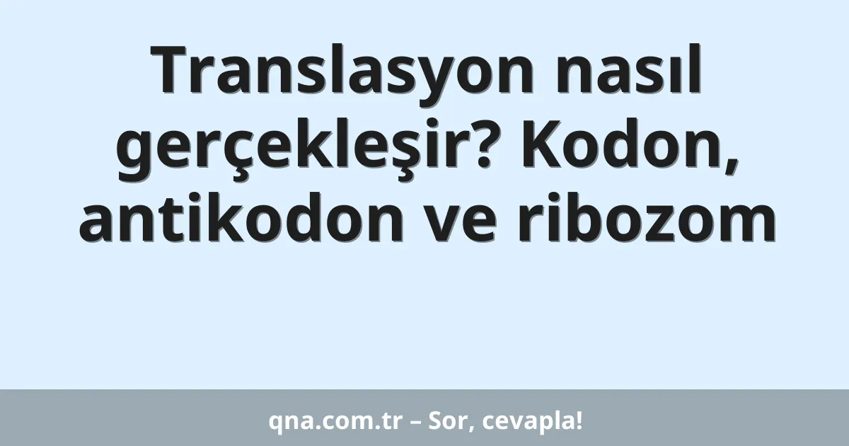 Translasyon nasıl gerçekleşir? Kodon, antikodon ve ribozom