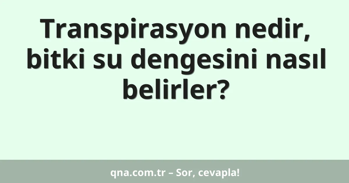 Transpirasyon nedir, bitki su dengesini nasıl belirler?