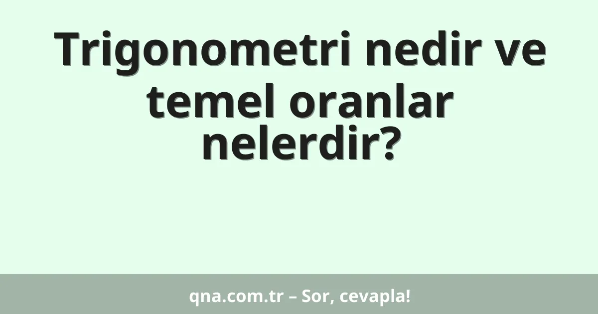 Trigonometri nedir ve temel oranlar nelerdir?
