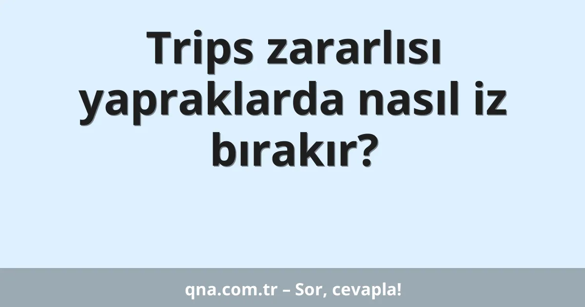 Trips zararlısı yapraklarda nasıl iz bırakır?