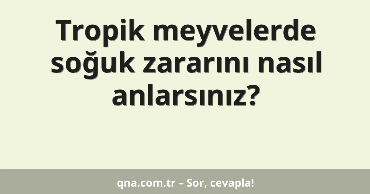 Tropik meyvelerde soğuk zararını nasıl anlarsınız?