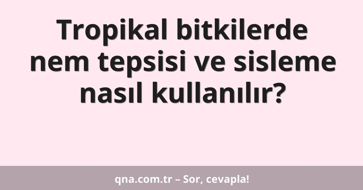Tropikal bitkilerde nem tepsisi ve sisleme nasıl kullanılır?