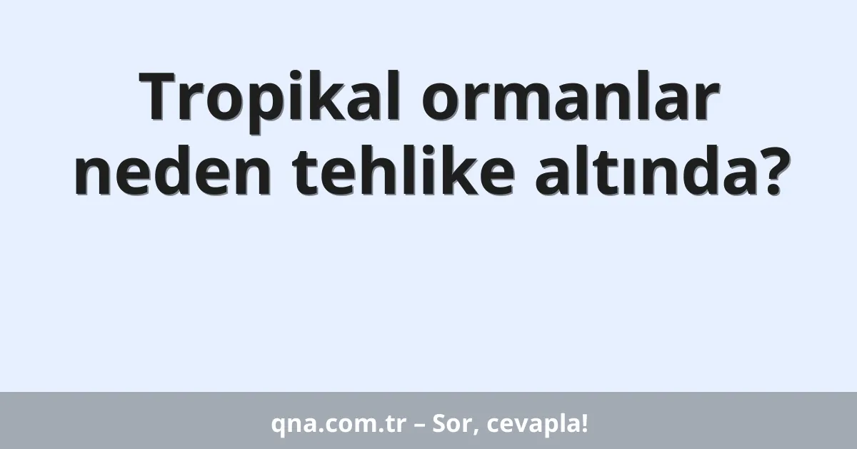 Tropikal ormanlar neden tehlike altında?