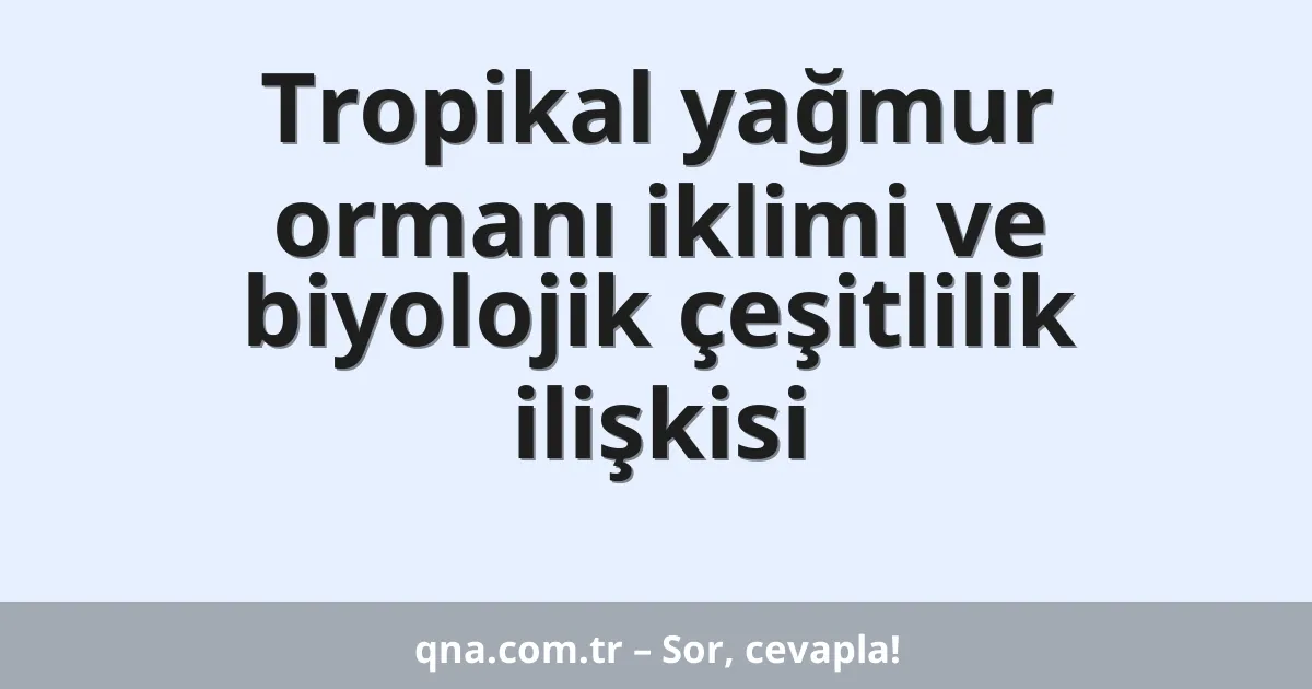 Tropikal yağmur ormanı iklimi ve biyolojik çeşitlilik ilişkisi