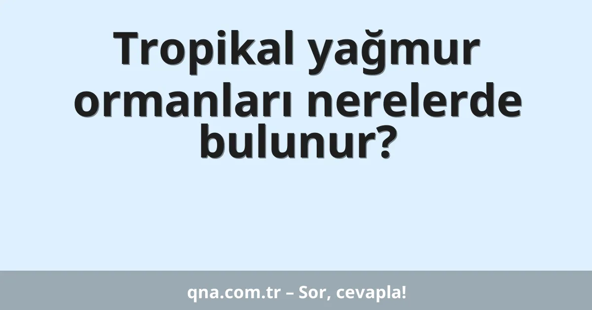 Tropikal yağmur ormanları nerelerde bulunur?
