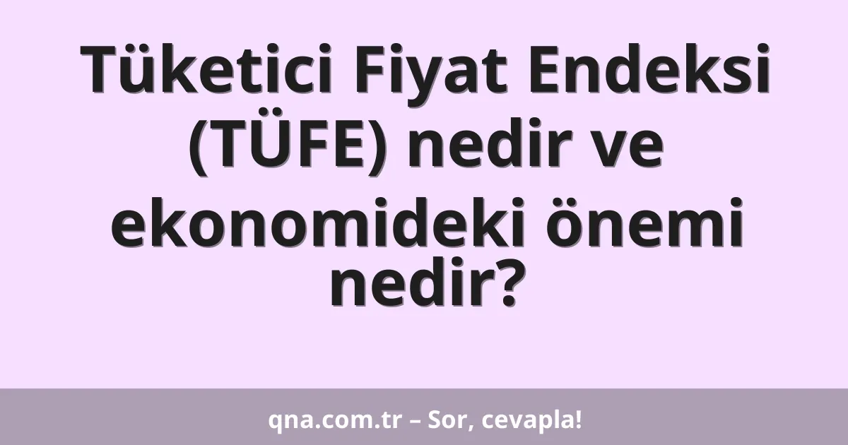 Tüketici Fiyat Endeksi (TÜFE) nedir ve ekonomideki önemi nedir?