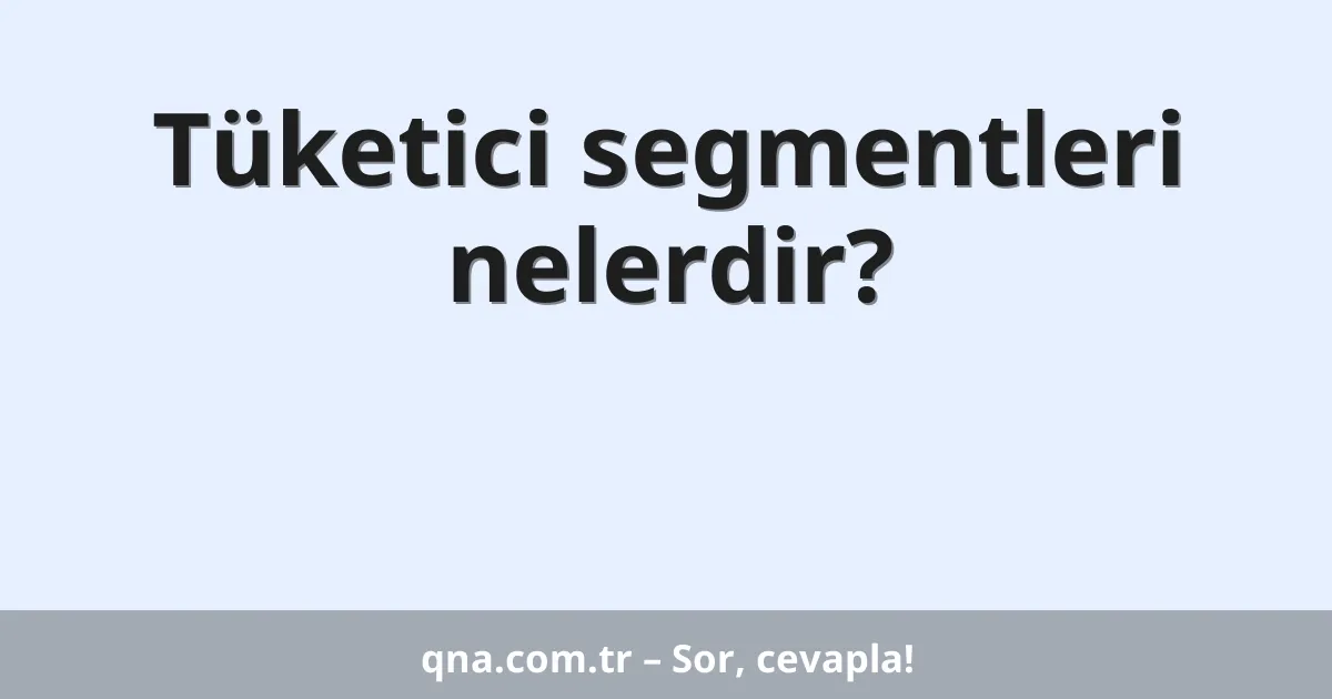 Tüketici segmentleri nelerdir?