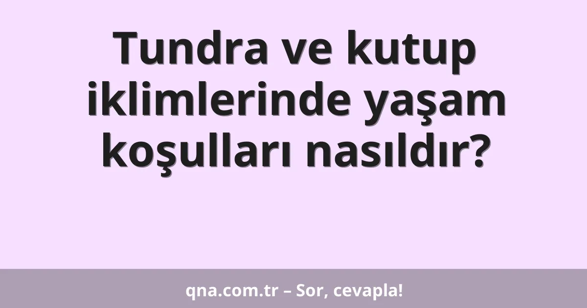 Tundra ve kutup iklimlerinde yaşam koşulları nasıldır?