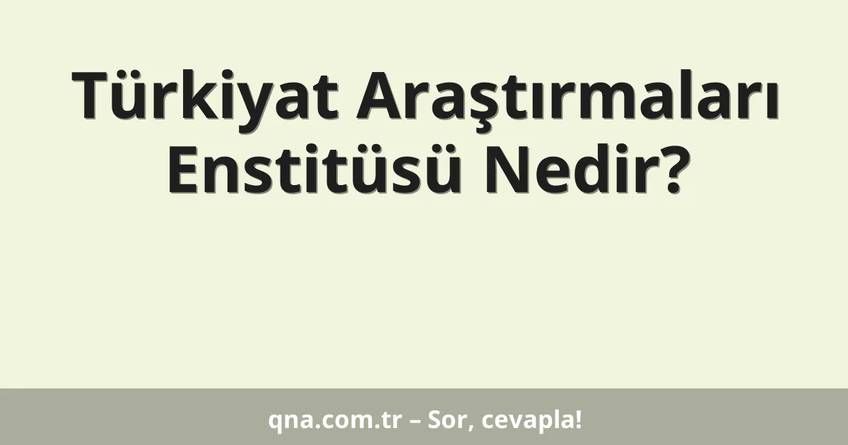 Türkiyat Araştırmaları Enstitüsü Nedir?