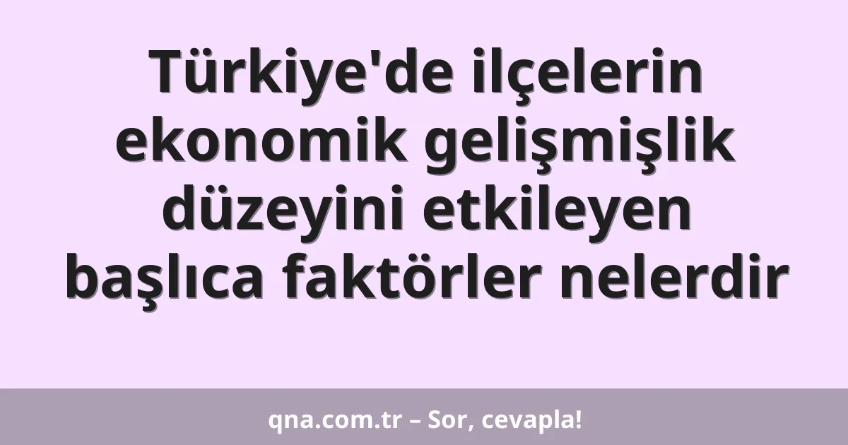 Türkiye'de ilçelerin ekonomik gelişmişlik düzeyini etkileyen başlıca faktörler nelerdir