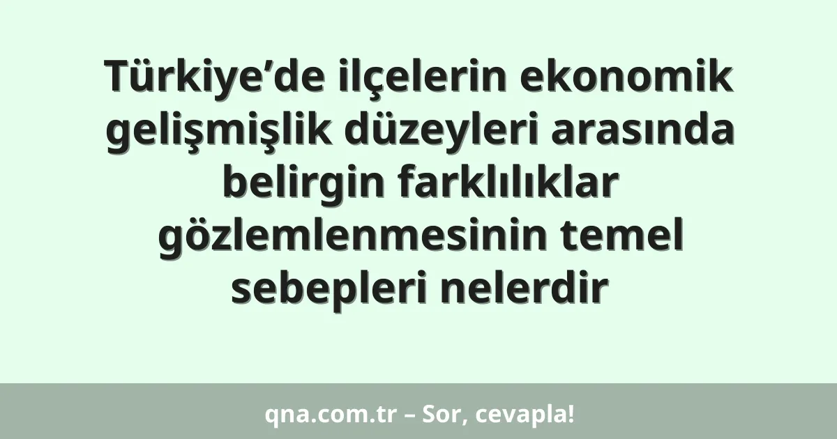 Türkiye’de ilçelerin ekonomik gelişmişlik düzeyleri arasında belirgin farklılıklar gözlemlenmesinin temel sebepleri nelerdir