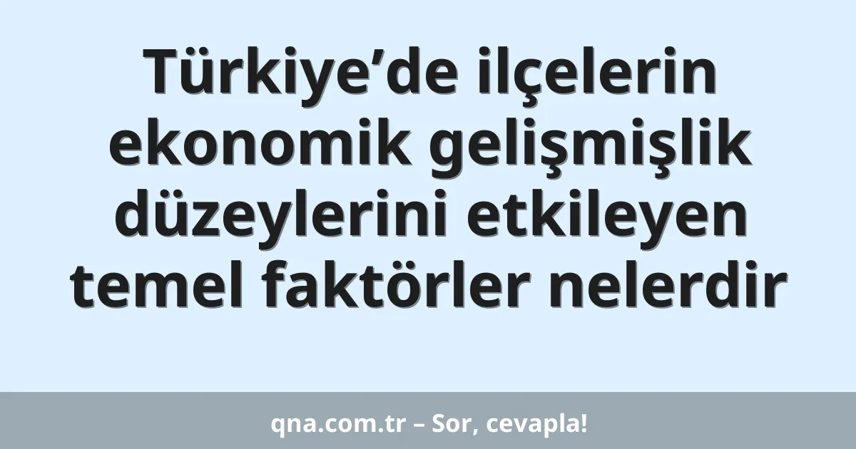 Türkiye’de ilçelerin ekonomik gelişmişlik düzeylerini etkileyen temel faktörler nelerdir