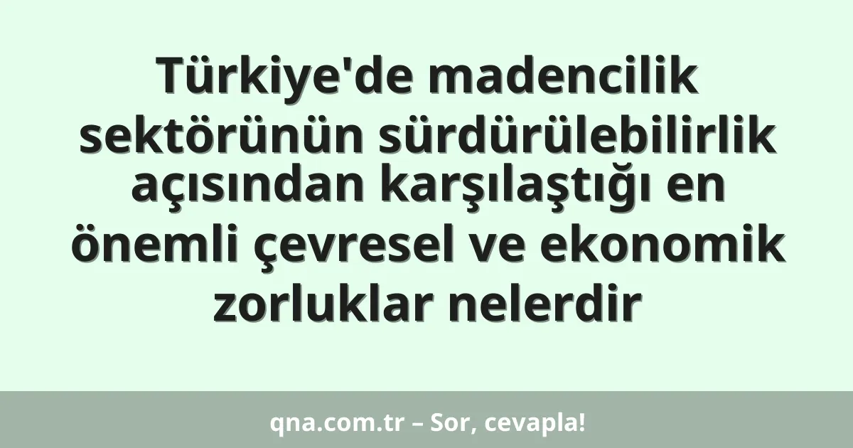 Türkiye'de madencilik sektörünün sürdürülebilirlik açısından karşılaştığı en önemli çevresel ve ekonomik zorluklar nelerdir