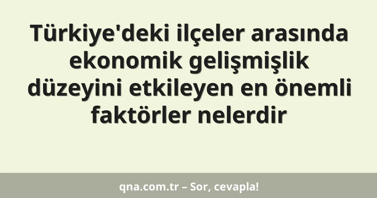 Türkiye'deki ilçeler arasında ekonomik gelişmişlik düzeyini etkileyen en önemli faktörler nelerdir