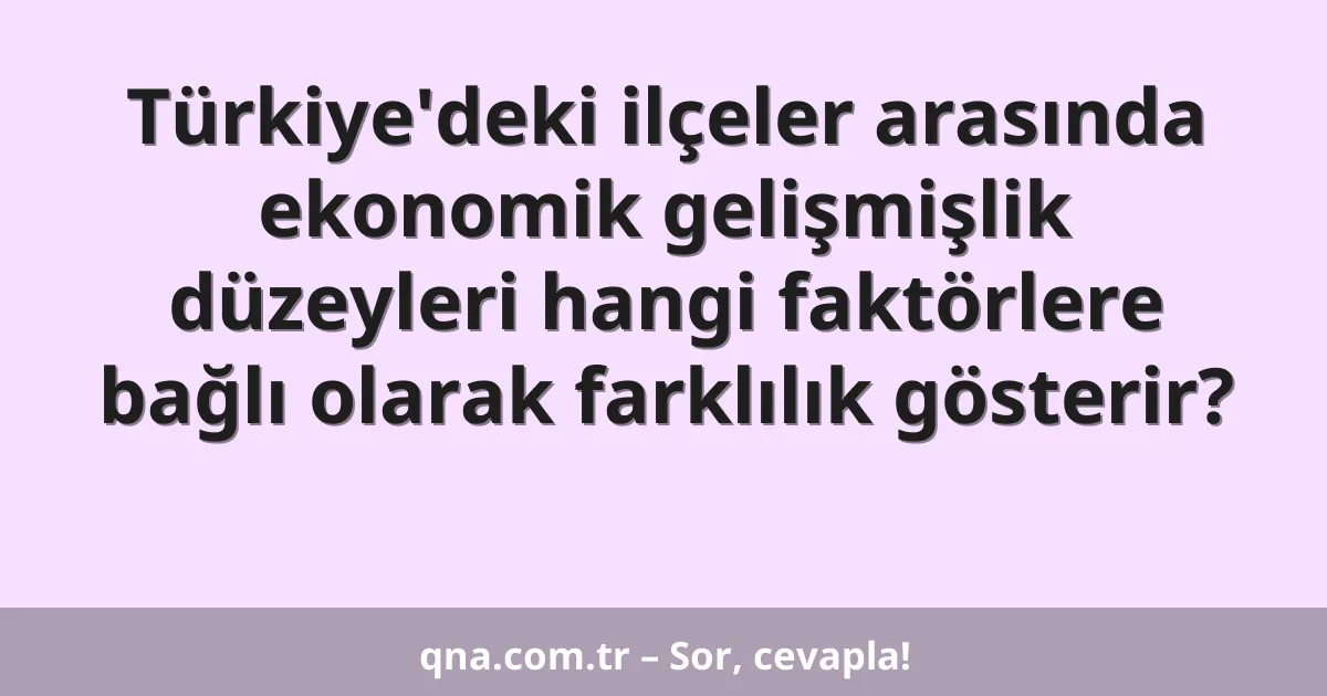 Türkiye'deki ilçeler arasında ekonomik gelişmişlik düzeyleri hangi faktörlere bağlı olarak farklılık gösterir?