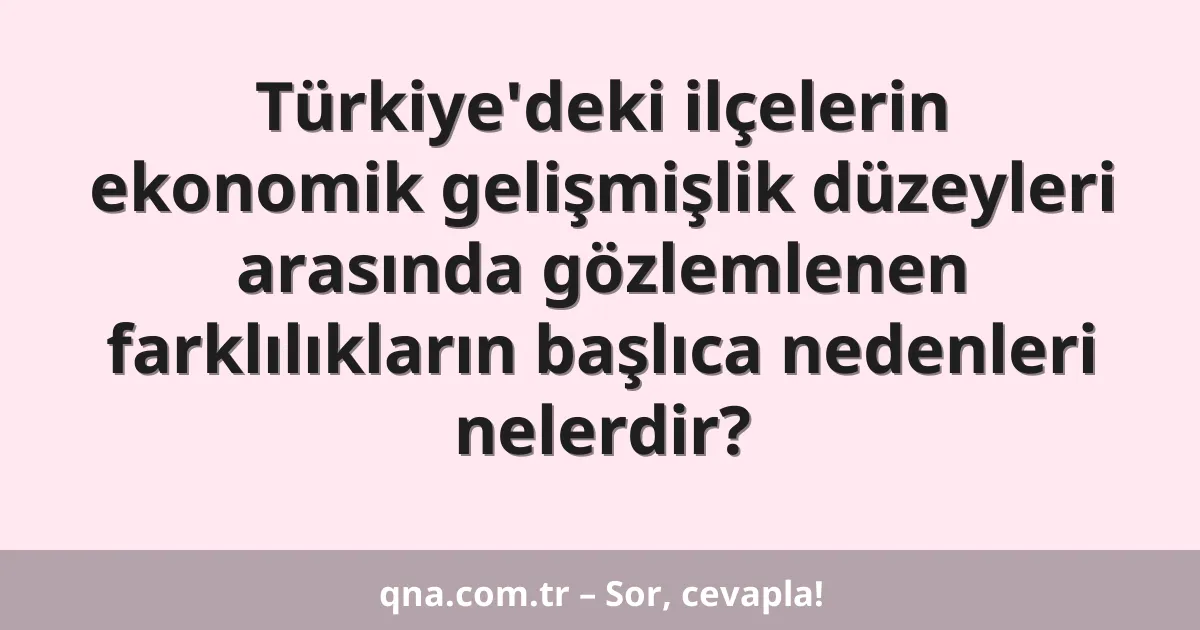 Türkiye'deki ilçelerin ekonomik gelişmişlik düzeyleri arasında gözlemlenen farklılıkların başlıca nedenleri nelerdir?