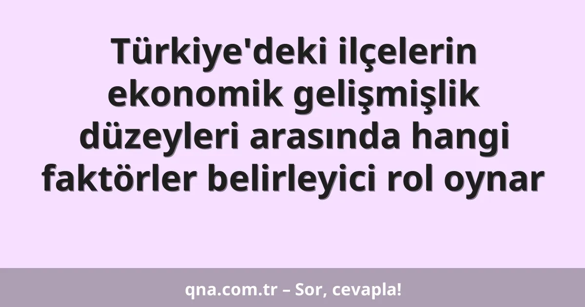 Türkiye'deki ilçelerin ekonomik gelişmişlik düzeyleri arasında hangi faktörler belirleyici rol oynar