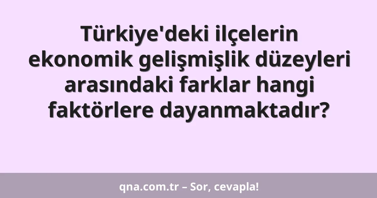 Türkiye'deki ilçelerin ekonomik gelişmişlik düzeyleri arasındaki farklar hangi faktörlere dayanmaktadır?