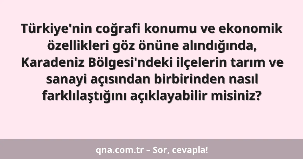 Türkiye'nin coğrafi konumu ve ekonomik özellikleri göz önüne alındığında, Karadeniz Bölgesi'ndeki ilçelerin tarım ve sanayi açısından birbirinden nasıl farklılaştığını açıklayabilir misiniz?