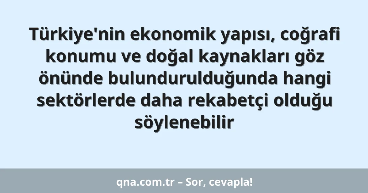 Türkiye'nin ekonomik yapısı, coğrafi konumu ve doğal kaynakları göz önünde bulundurulduğunda hangi sektörlerde daha rekabetçi olduğu söylenebilir