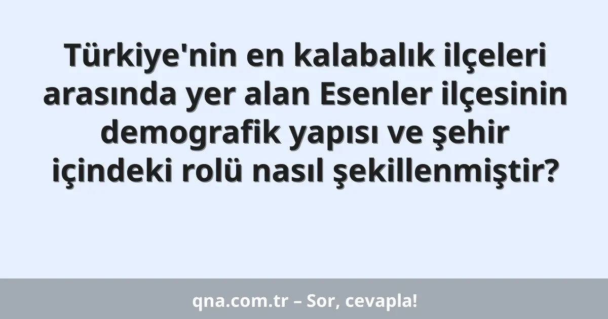 Türkiye'nin en kalabalık ilçeleri arasında yer alan Esenler ilçesinin demografik yapısı ve şehir içindeki rolü nasıl şekillenmiştir?