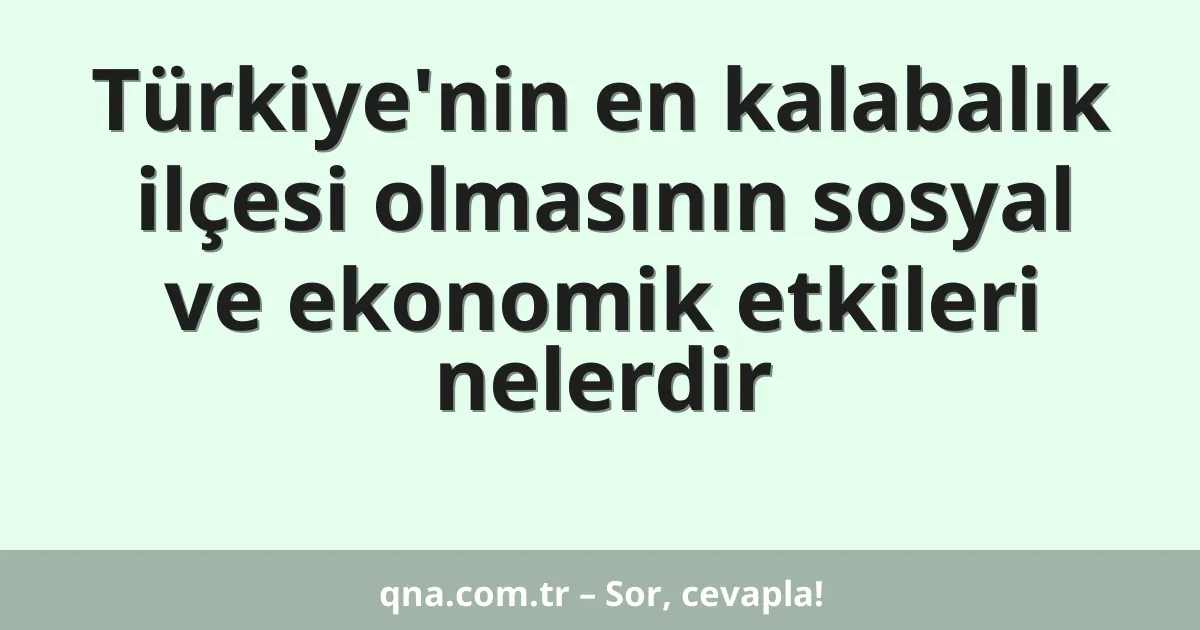 Türkiye'nin en kalabalık ilçesi olmasının sosyal ve ekonomik etkileri nelerdir